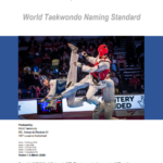 Screenshot 2025-03-29 094500